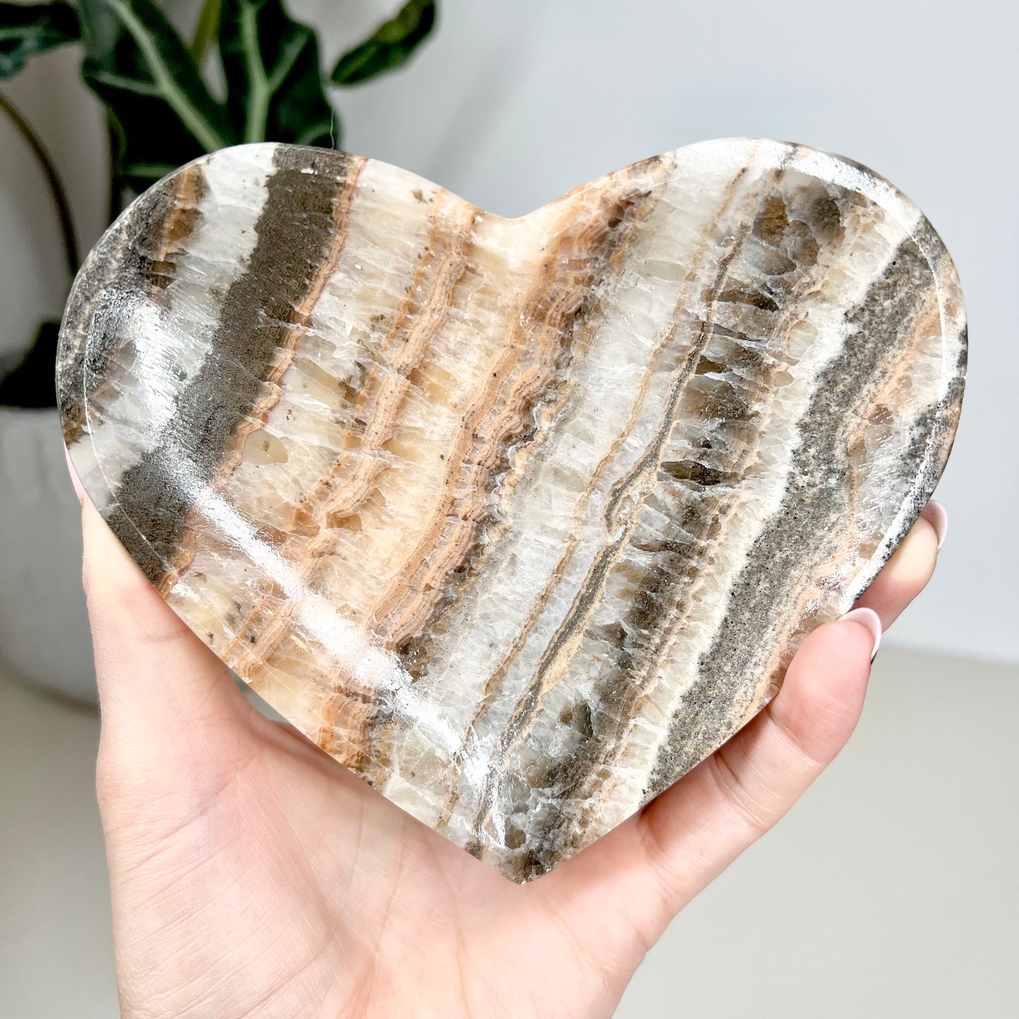 Wild Heart Set