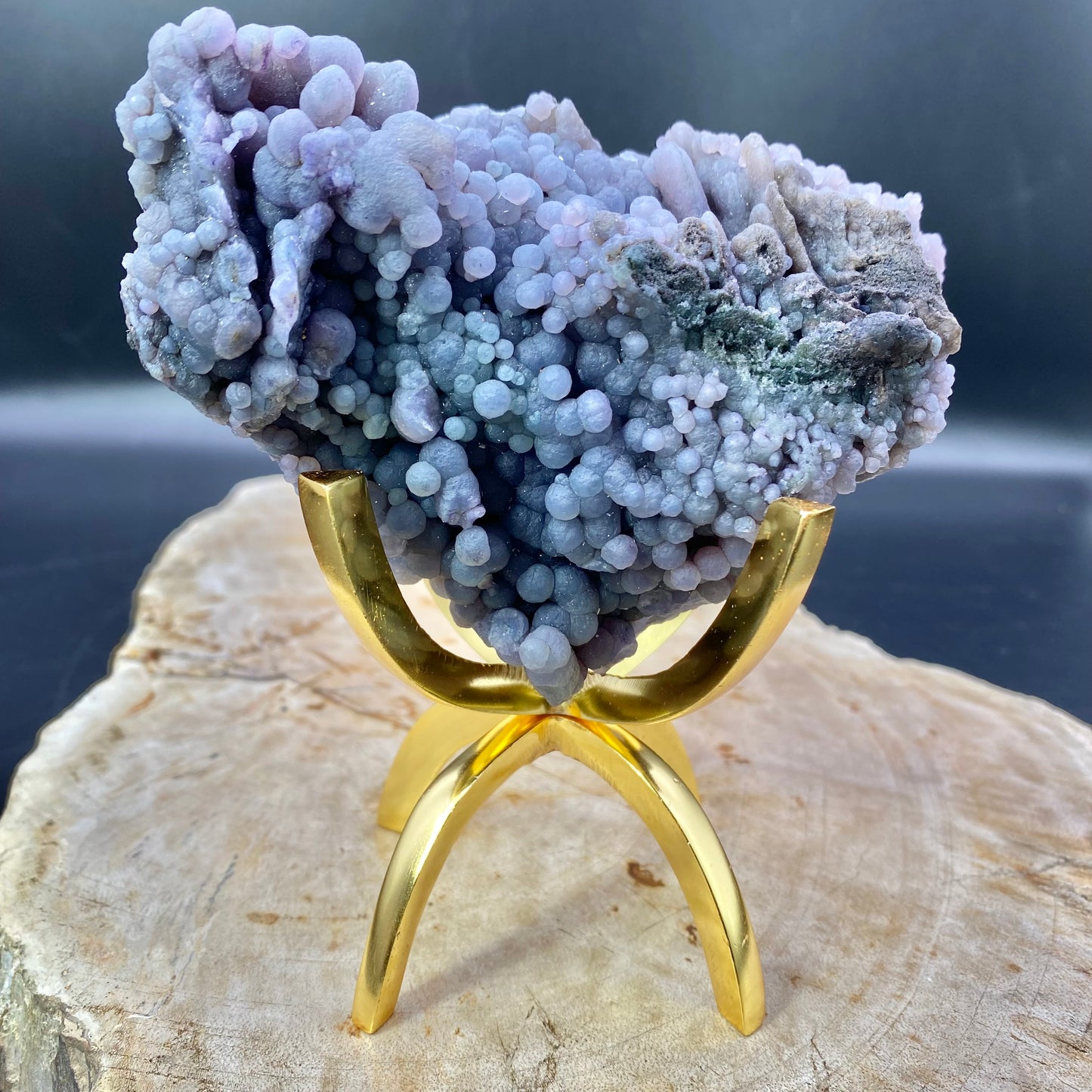 Brass Gold Claw Stand Large