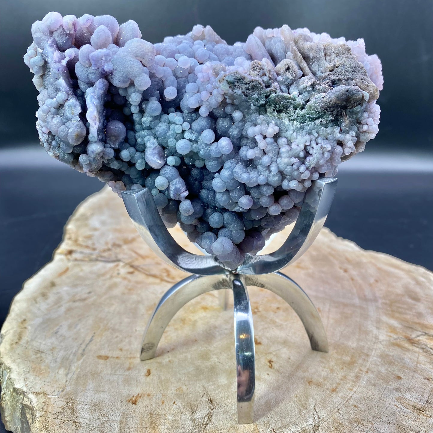 Brass Silver Claw Stand Large