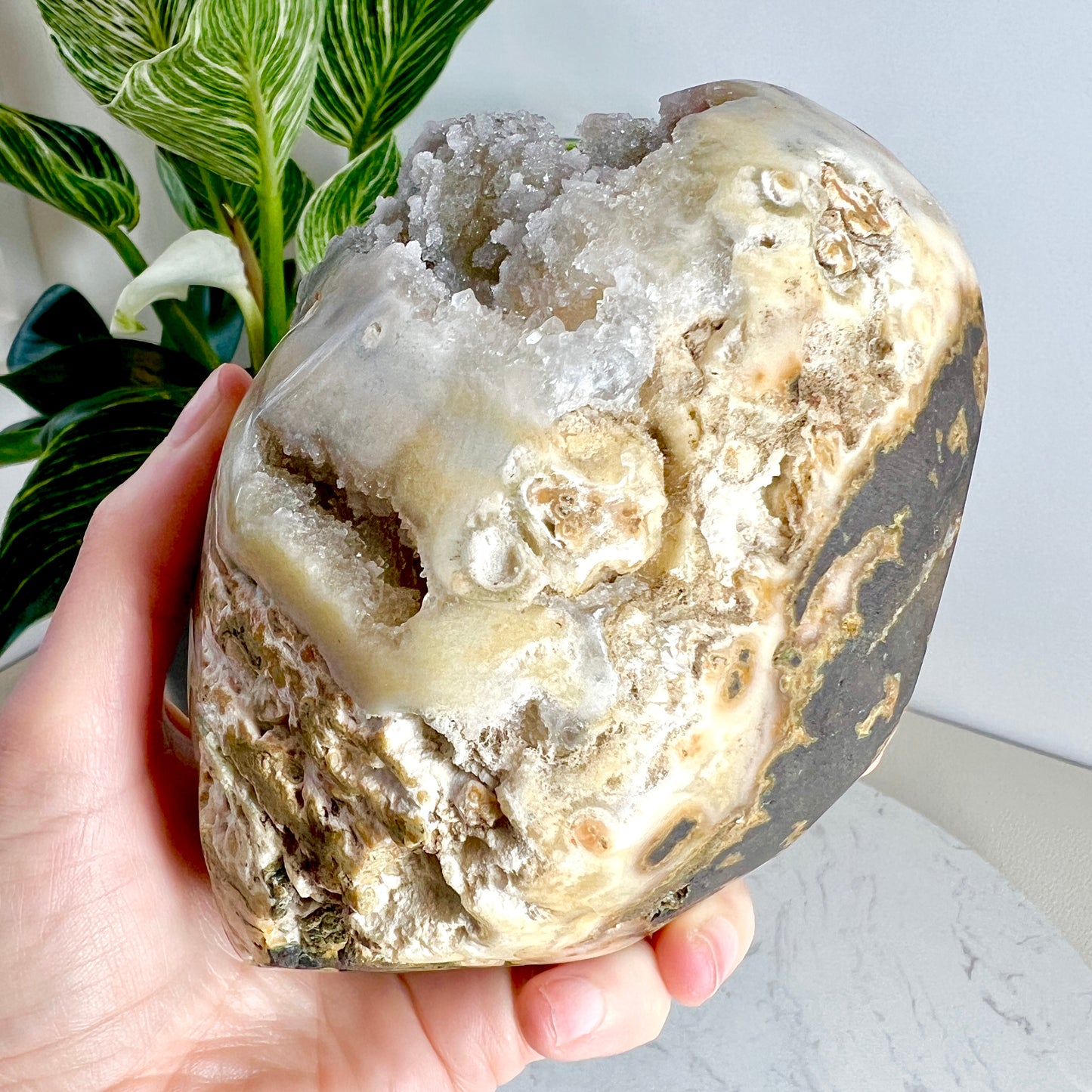 Uruguayan Rainbow Amethyst w/ Custom Stand